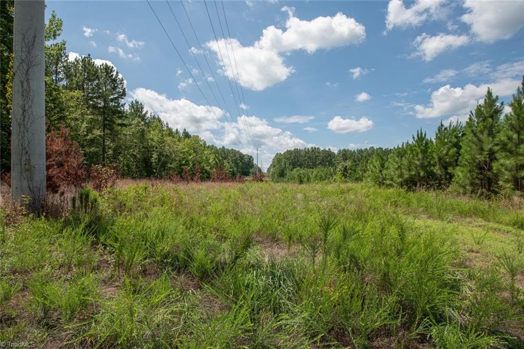 Unimproved Land at 8942 Spearman Road, Reidsville NC 27320, Reidsville, photo 65 of 100