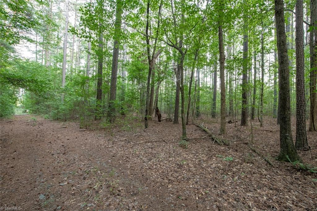 Unimproved Land at 8942 Spearman Road, Reidsville NC 27320, Reidsville, photo 81 of 100