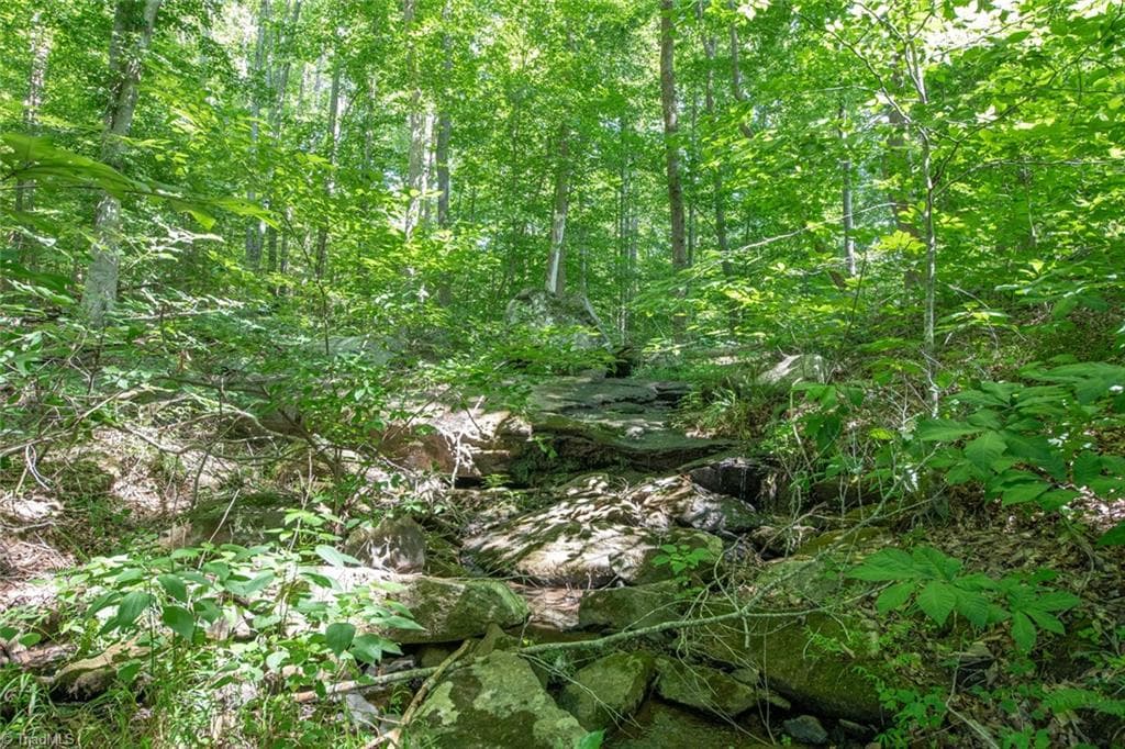 Unimproved Land at 8942 Spearman Road, Reidsville NC 27320, Reidsville, photo 89 of 100