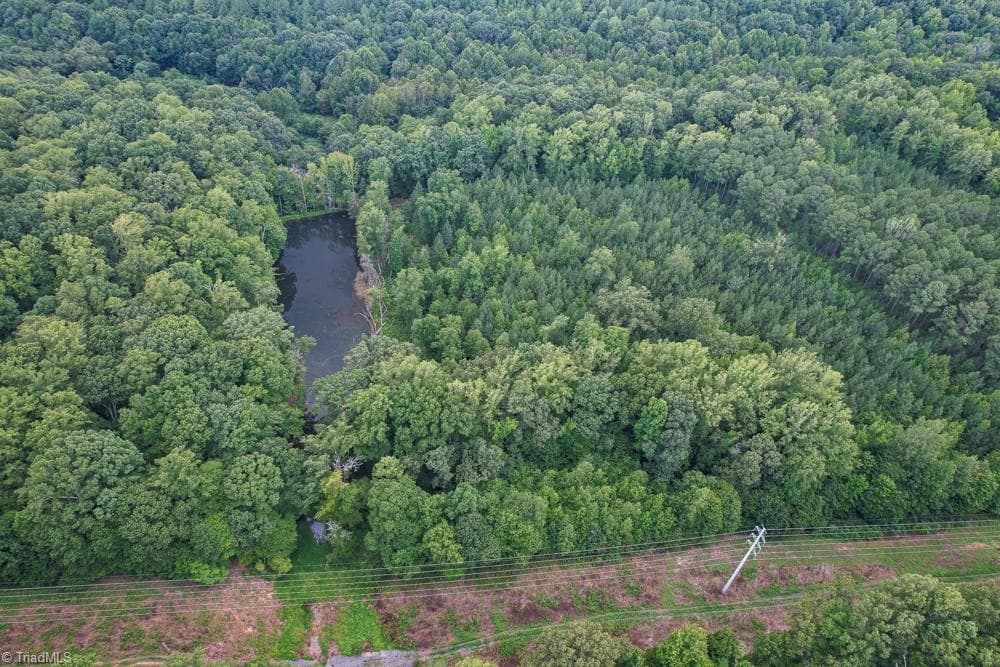Unimproved Land at 8942 Spearman Road, Reidsville NC 27320, Reidsville, photo 35 of 100