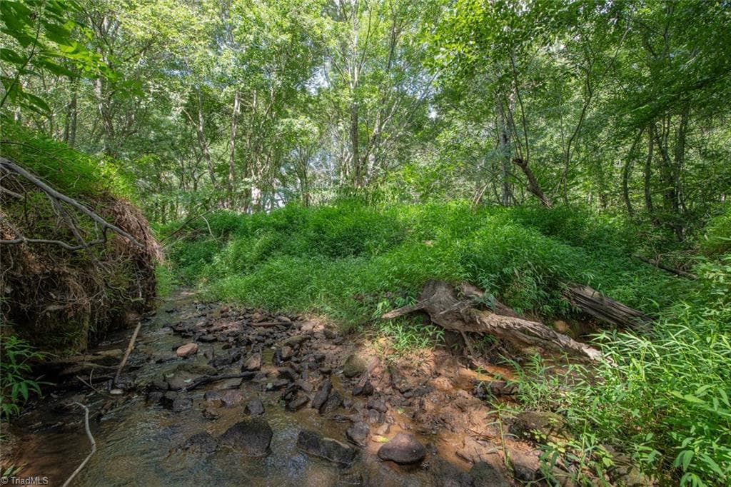 Unimproved Land at 8942 Spearman Road, Reidsville NC 27320, Reidsville, photo 73 of 100