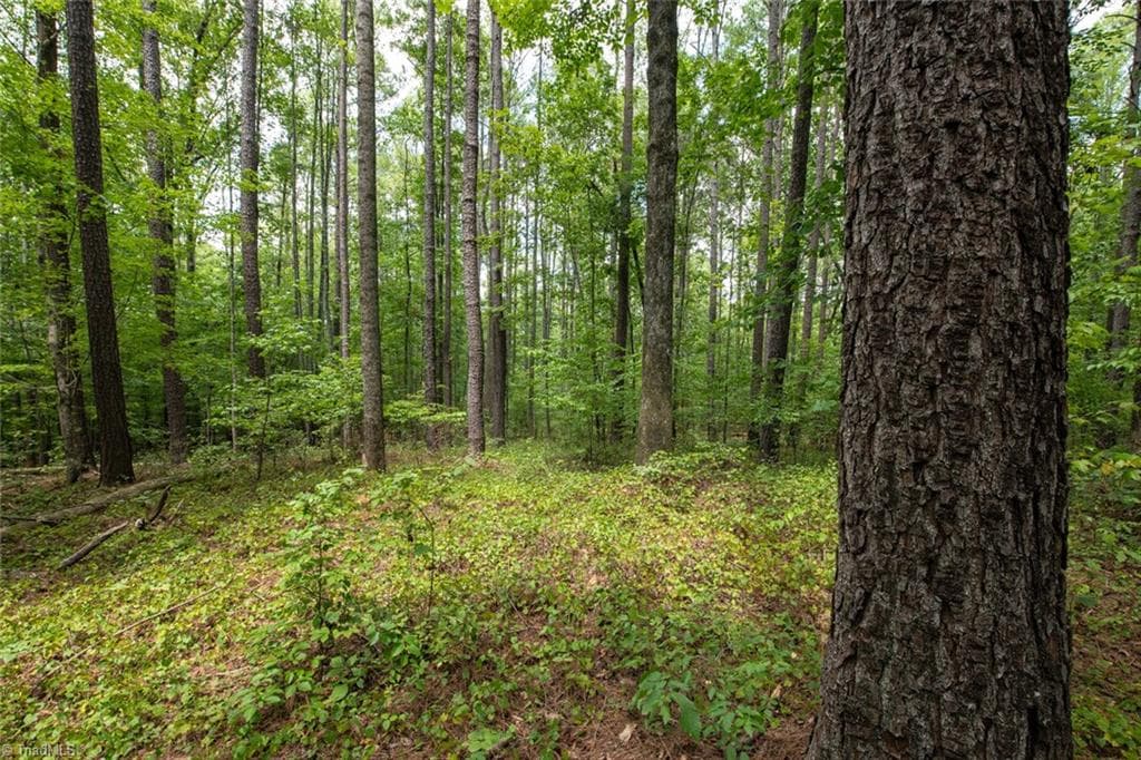 Unimproved Land at 8942 Spearman Road, Reidsville NC 27320, Reidsville, photo 21 of 100