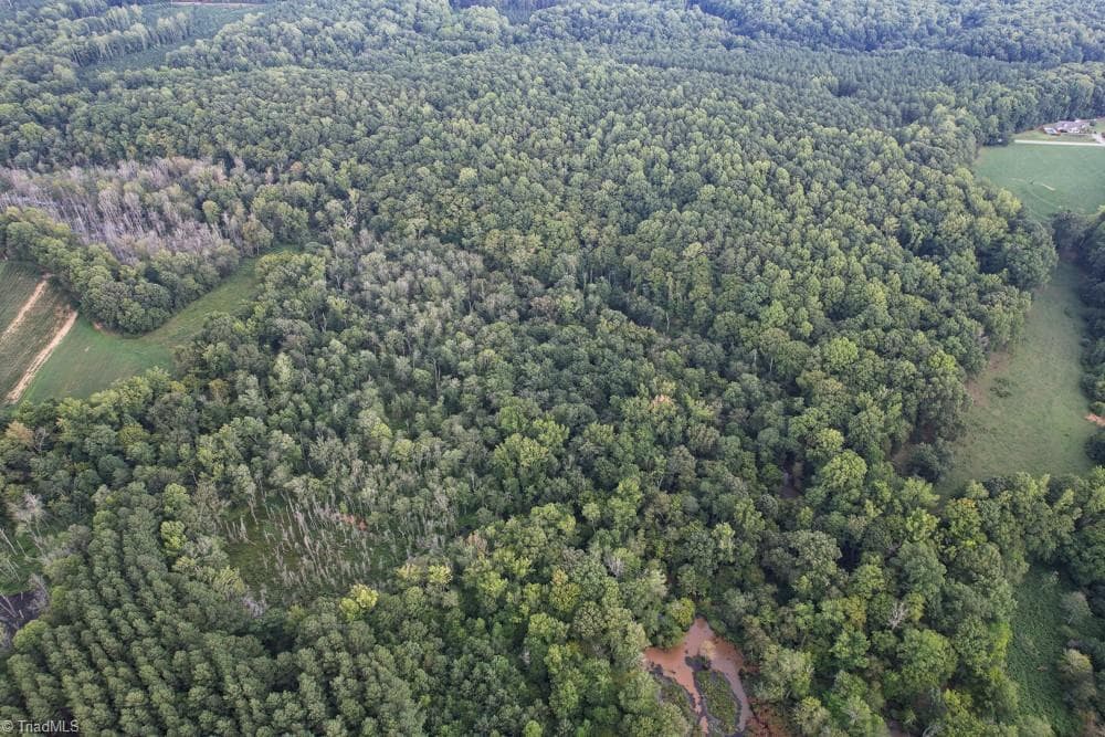 Unimproved Land at 8942 Spearman Road, Reidsville NC 27320, Reidsville, photo 37 of 100