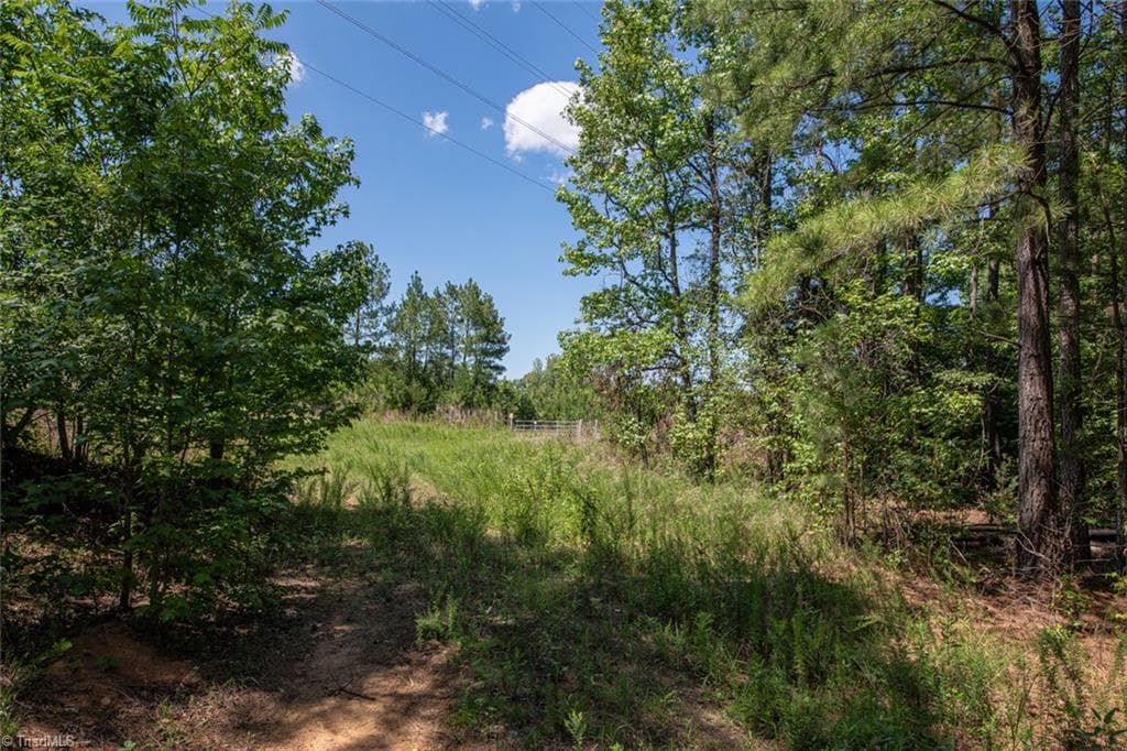 Unimproved Land at 8942 Spearman Road, Reidsville NC 27320, Reidsville, photo 87 of 100