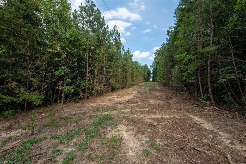 Unimproved Land at 8942 Spearman Road, Reidsville NC 27320, Reidsville, photo 79 of 100