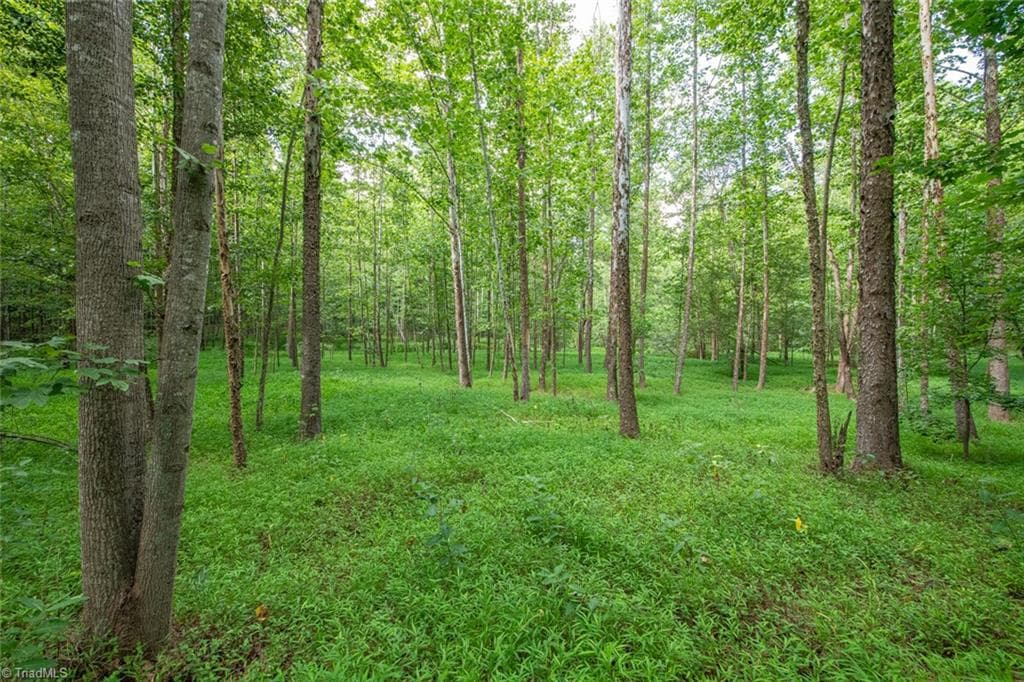 Unimproved Land at 8942 Spearman Road, Reidsville NC 27320, Reidsville, photo 61 of 100