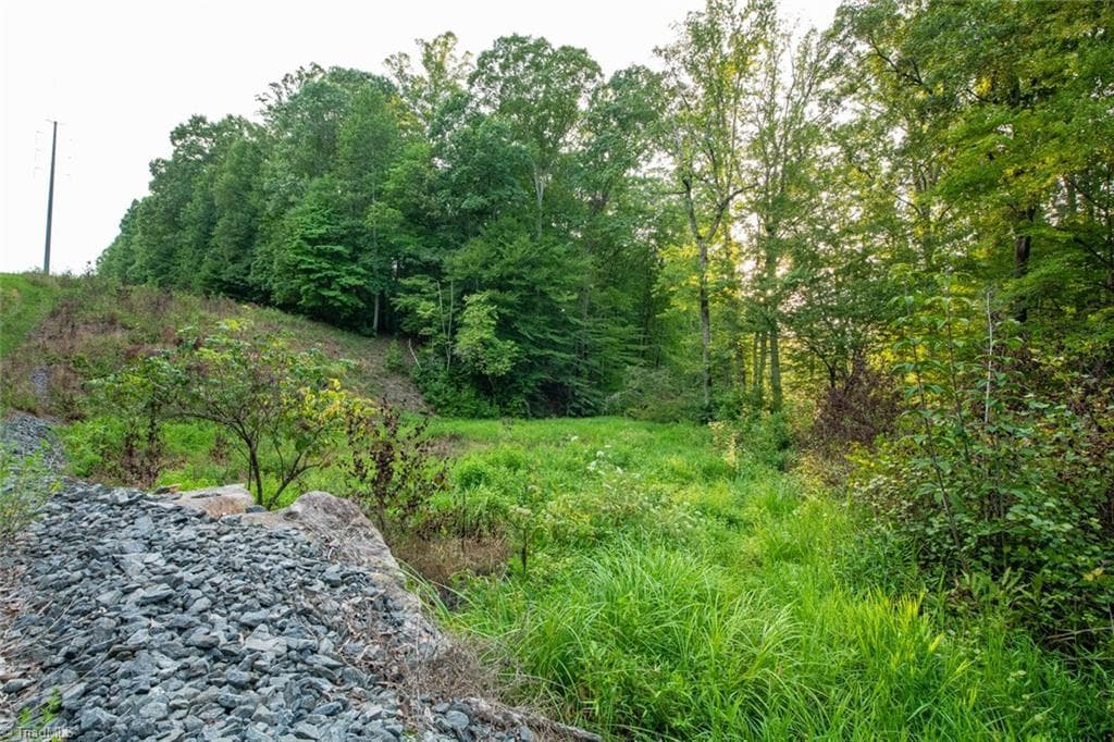 Unimproved Land at 8942 Spearman Road, Reidsville NC 27320, Reidsville, photo 77 of 100