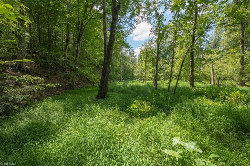 Unimproved Land at 8942 Spearman Road, Reidsville NC 27320, Reidsville, photo 57 of 100