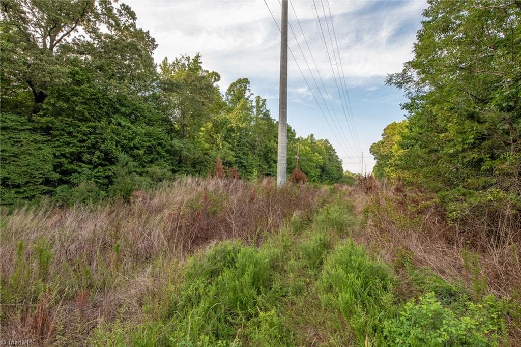 Unimproved Land at 8942 Spearman Road, Reidsville NC 27320, Reidsville, photo 49 of 100