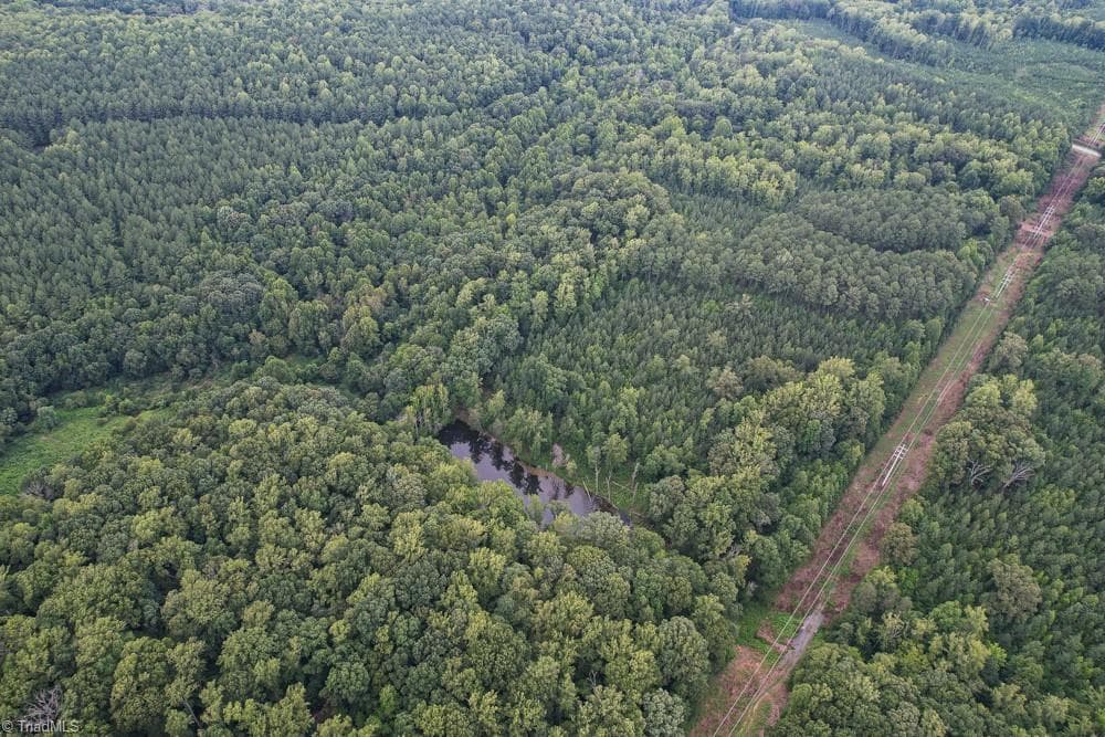 Unimproved Land at 8942 Spearman Road, Reidsville NC 27320, Reidsville, photo 41 of 100