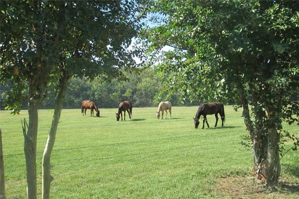 Agriculture at 3421 Suits Road, Gibsonville NC 27249, photo 5 of 15