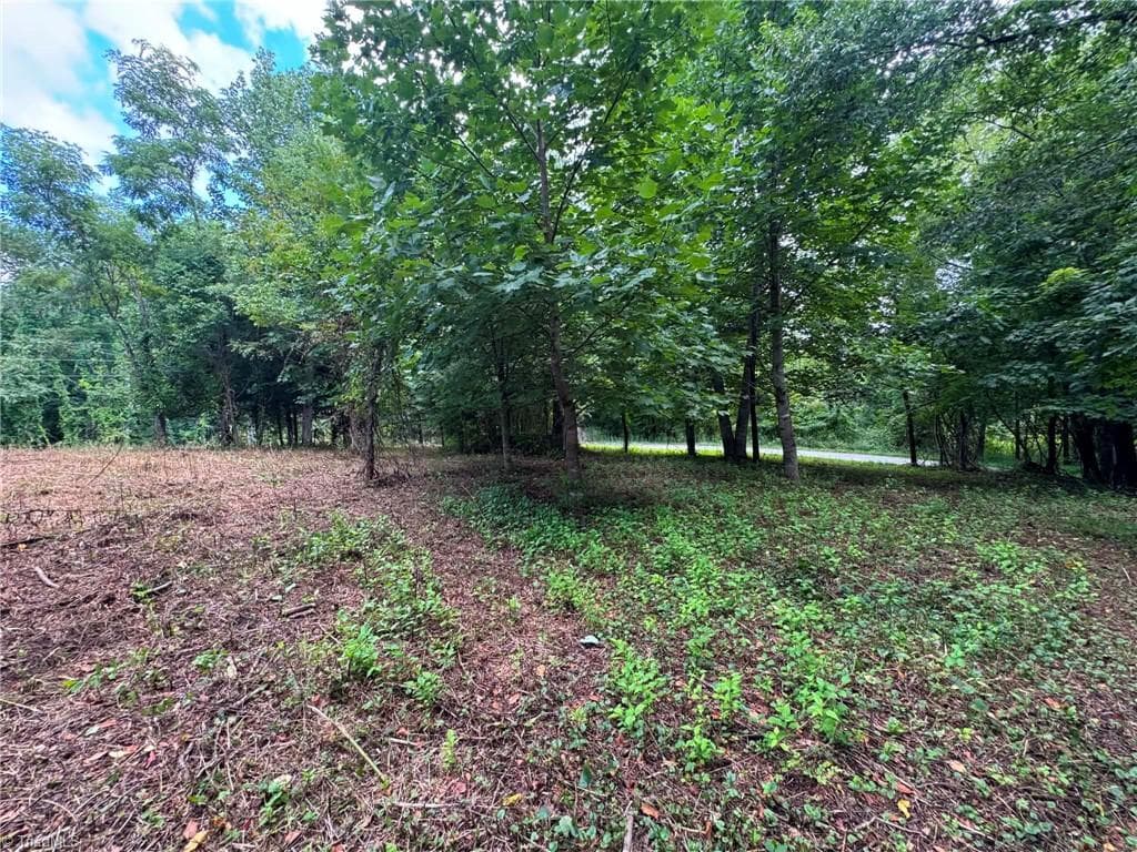 Single Family Residence at TBD Wind Ridge Road, Sparta NC 28675, photo 11 of 16