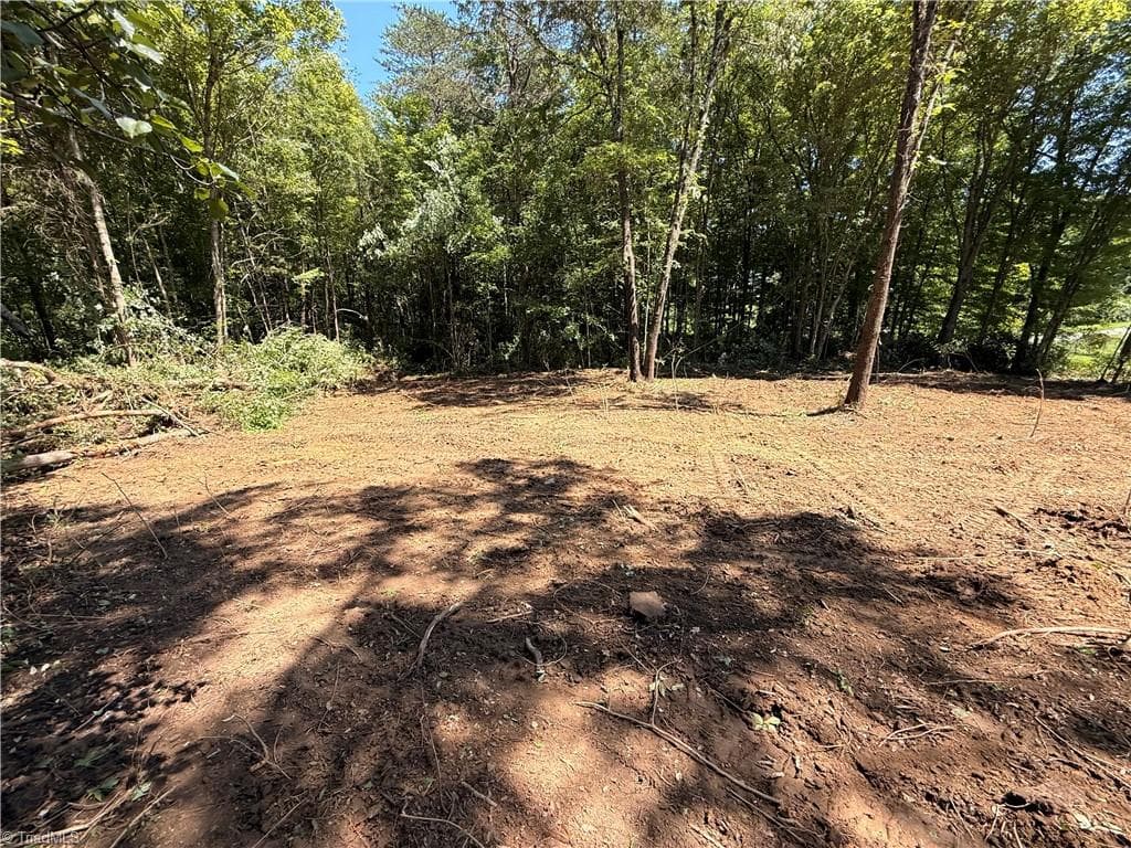 0 Wilson Street, Lexington NC 27292