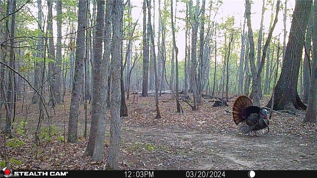 Stick/Site Built at 1260A Beaver Island Trail Road, Walnut Cove NC 27052, photo 38 of 41
