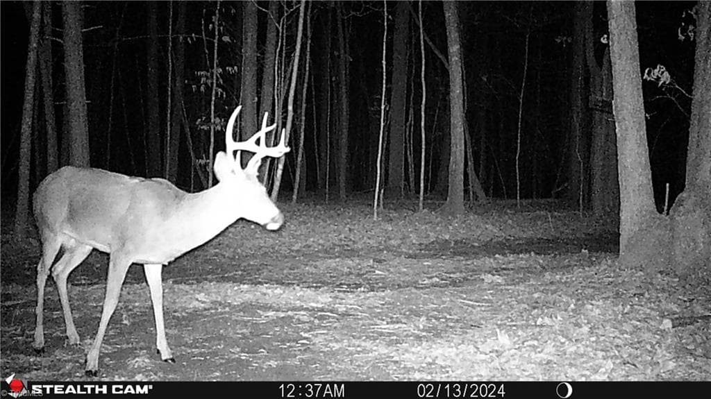 Stick/Site Built at 1260A Beaver Island Trail Road, Walnut Cove NC 27052, photo 39 of 41