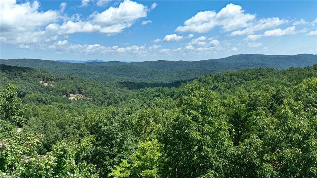 Stick/Site Built at 1050 Staghorn Road, Purlear NC 28665, Purlear, photo 22 of 22