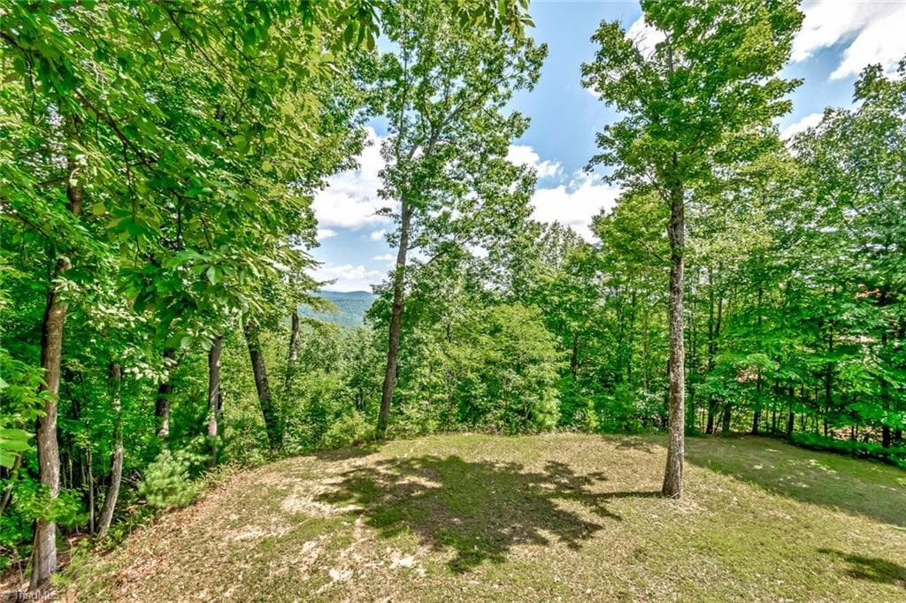 Stick/Site Built at 1050 Staghorn Road, Purlear NC 28665, Purlear, photo 20 of 22