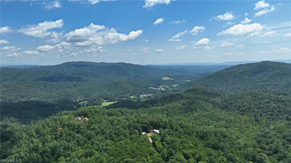 Stick/Site Built at 1050 Staghorn Road, Purlear NC 28665, Purlear, photo 21 of 22