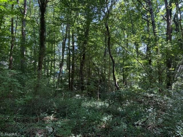 Single Family Residence at 0 S Mineral Springs Drive, Jonesville NC 28642, Jonesville, photo 6 of 7