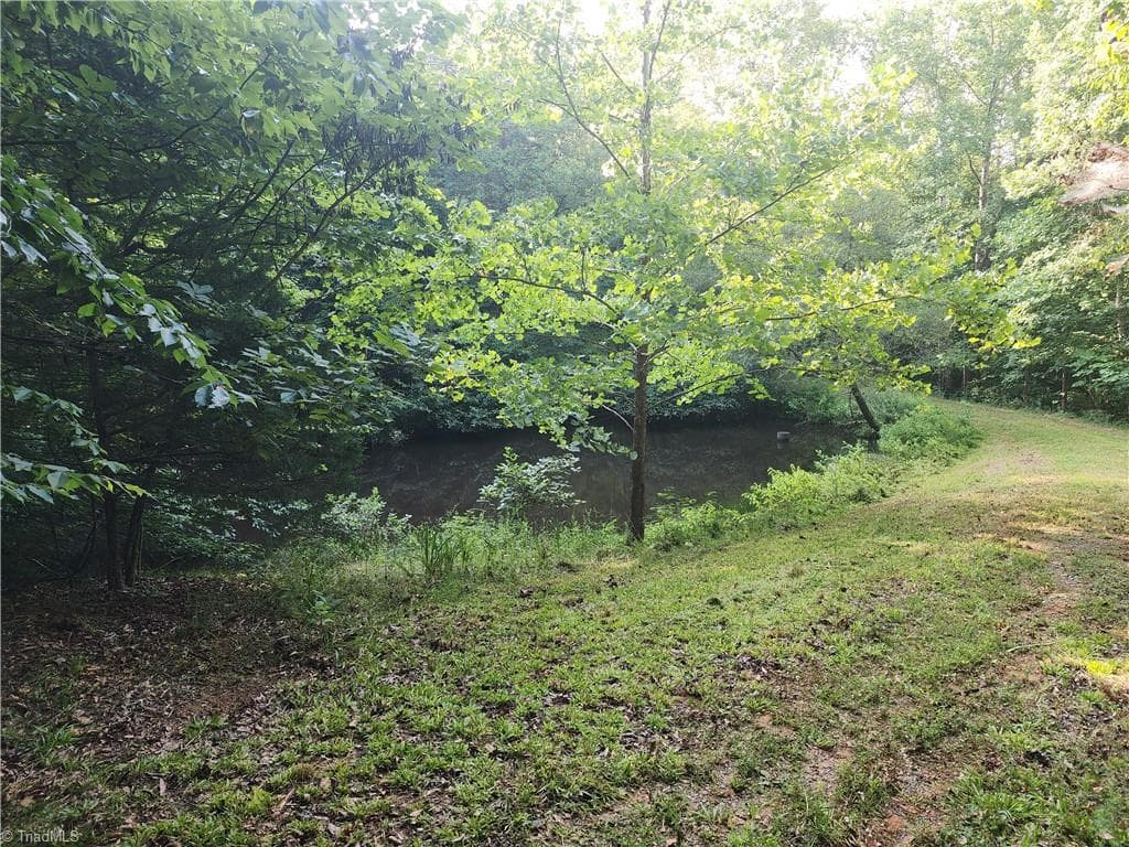 Unimproved Land at 0 River Bluff Farms Road, Tobaccoville NC 27050, Tobaccoville, photo 45 of 72