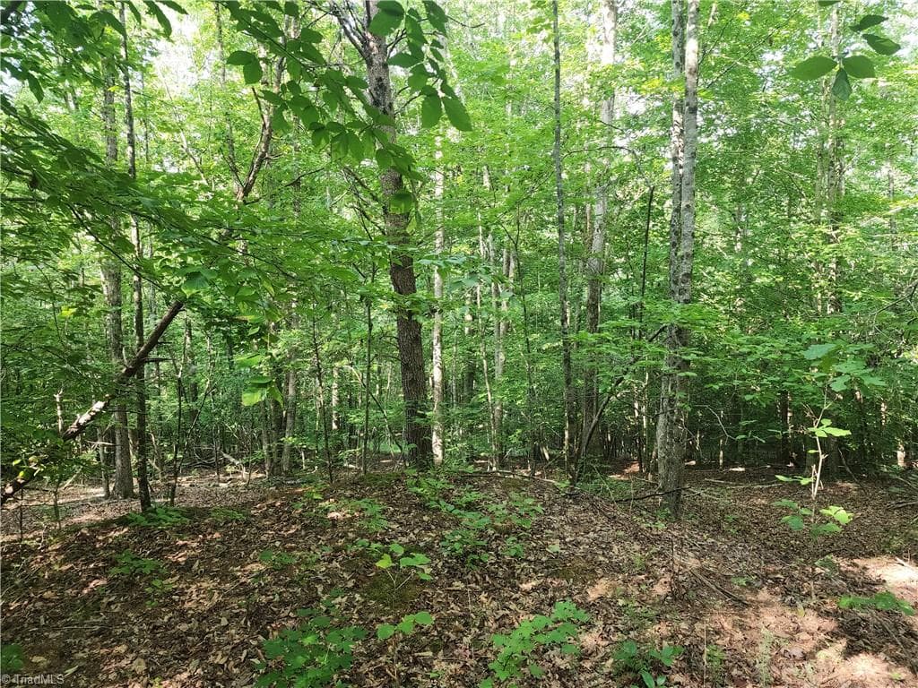 Unimproved Land at 0 River Bluff Farms Road, Tobaccoville NC 27050, Tobaccoville, photo 53 of 72