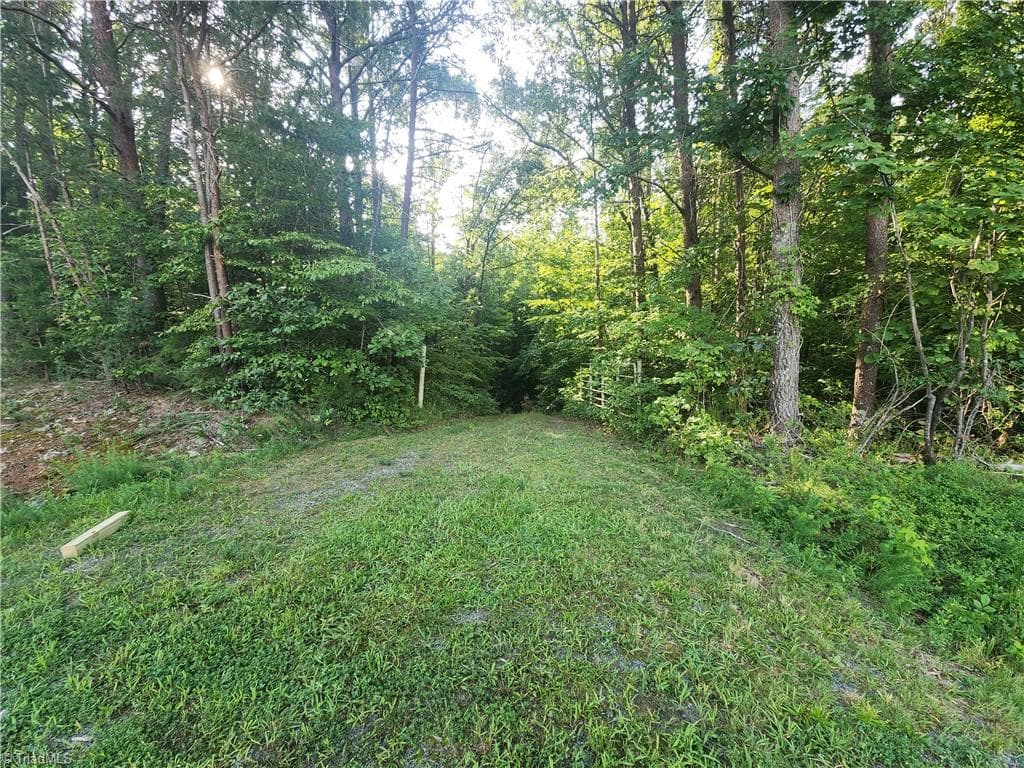 Unimproved Land at 0 River Bluff Farms Road, Tobaccoville NC 27050, Tobaccoville, photo 25 of 72