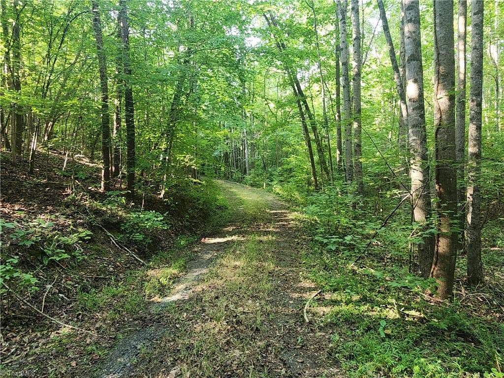 Unimproved Land at 0 River Bluff Farms Road, Tobaccoville NC 27050, Tobaccoville, photo 33 of 72