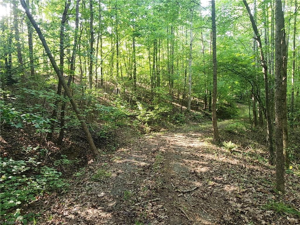 Unimproved Land at 0 River Bluff Farms Road, Tobaccoville NC 27050, Tobaccoville, photo 31 of 72