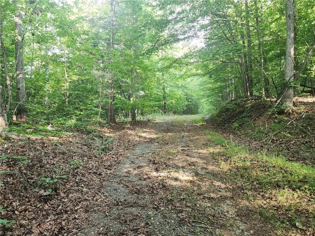 Unimproved Land at 0 River Bluff Farms Road, Tobaccoville NC 27050, Tobaccoville, photo 51 of 72