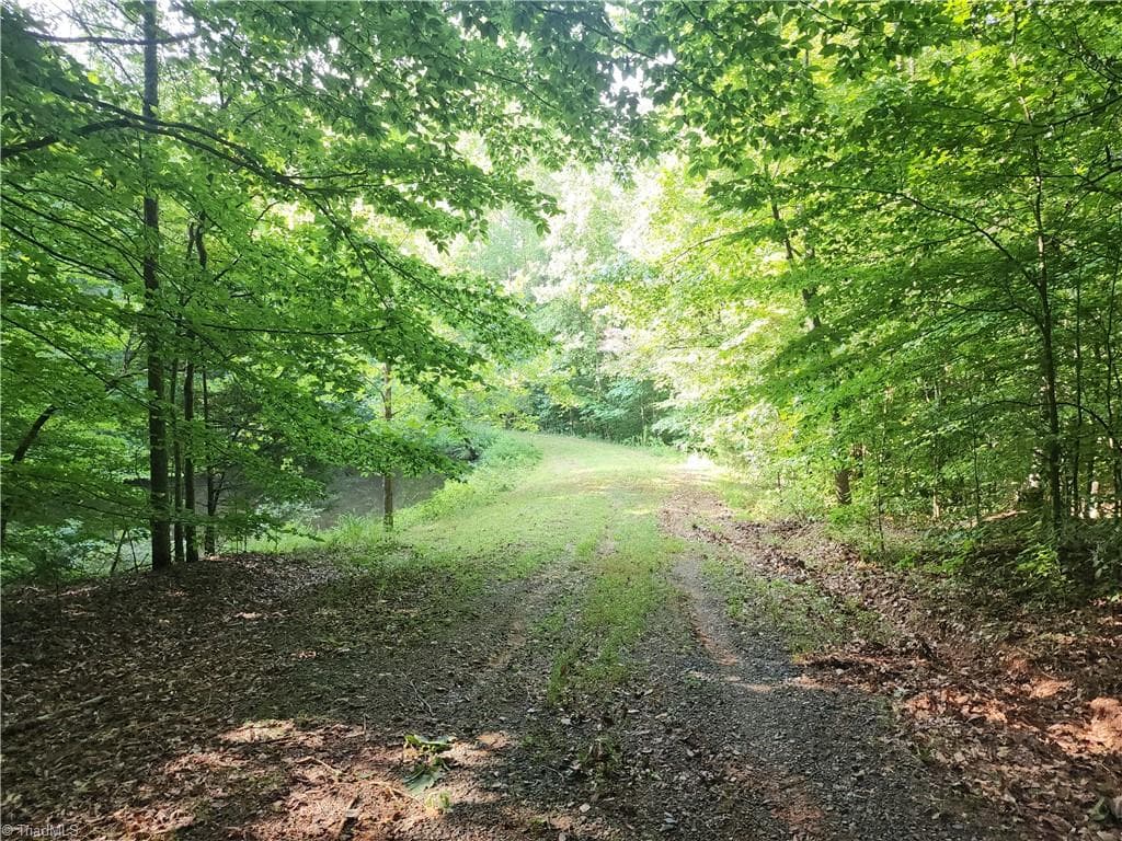 Unimproved Land at 0 River Bluff Farms Road, Tobaccoville NC 27050, Tobaccoville, photo 43 of 72