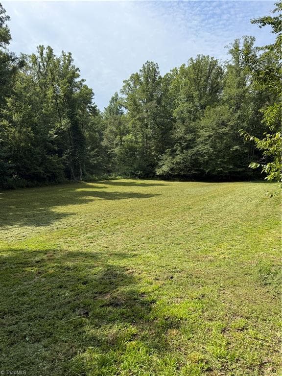 Meadow - 0 River Bluff Farms Road, Tobaccoville NC 27050, Tobaccoville