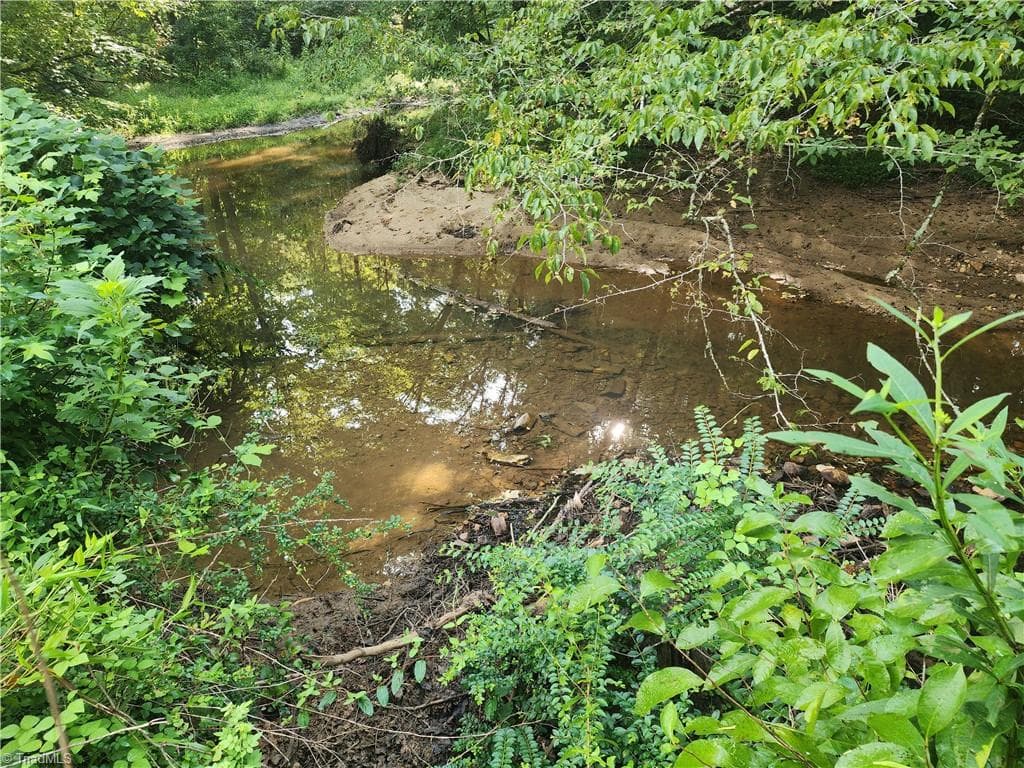 Unimproved Land at 0 River Bluff Farms Road, Tobaccoville NC 27050, Tobaccoville, photo 63 of 72