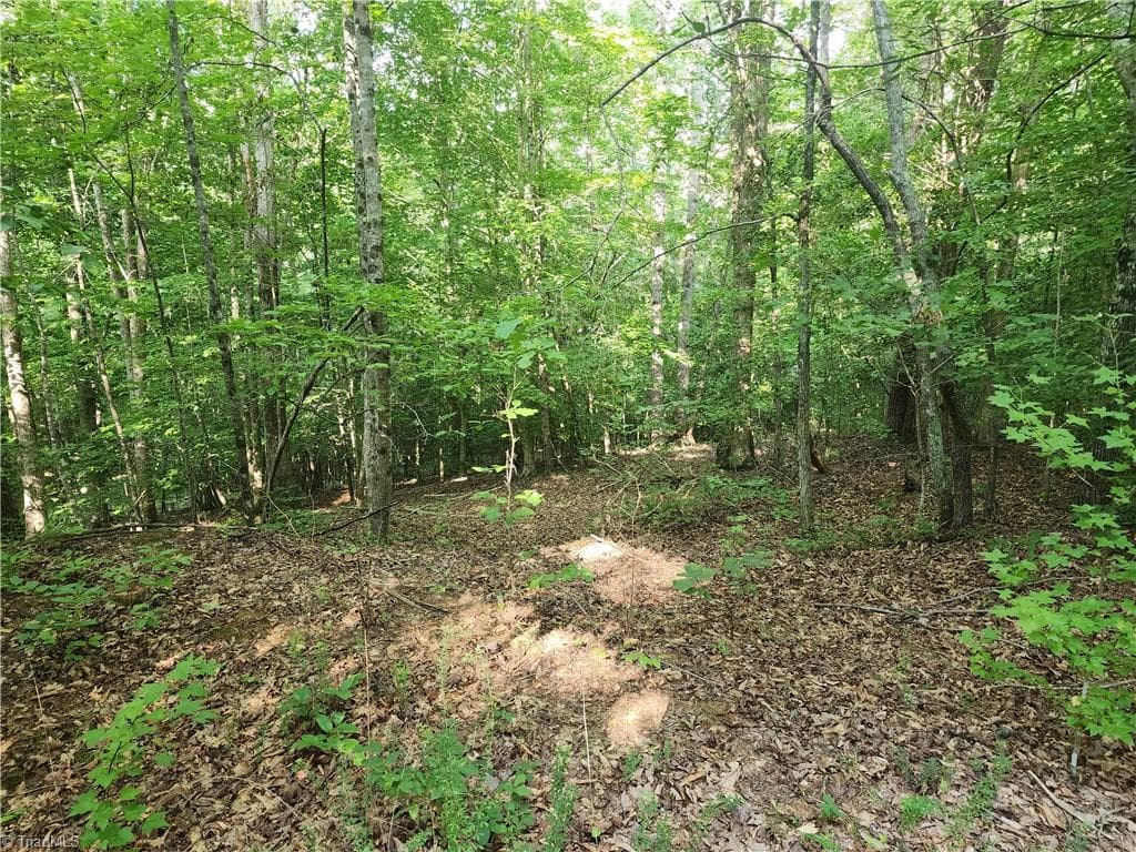 Unimproved Land at 0 River Bluff Farms Road, Tobaccoville NC 27050, Tobaccoville, photo 55 of 72