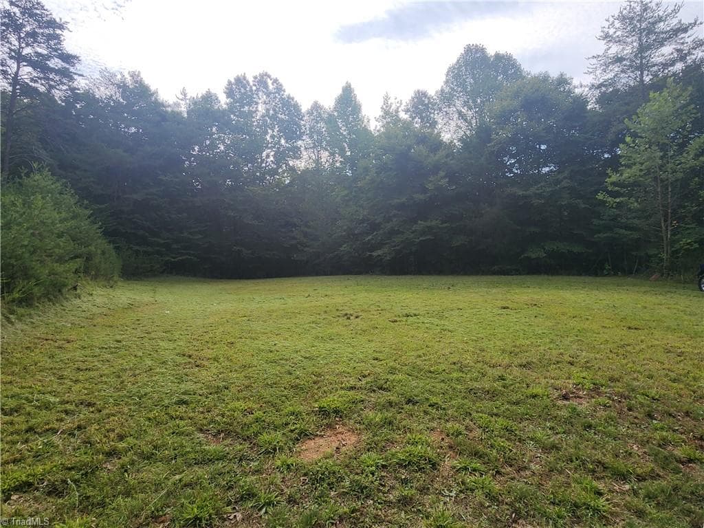 Unimproved Land at 0 River Bluff Farms Road, Tobaccoville NC 27050, Tobaccoville, photo 9 of 72