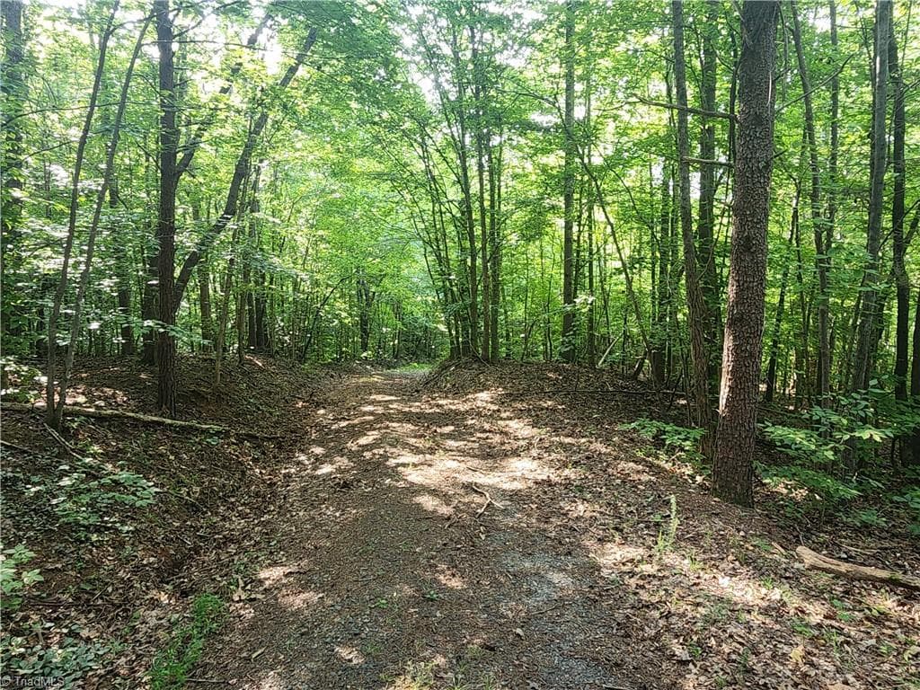 Unimproved Land at 0 River Bluff Farms Road, Tobaccoville NC 27050, Tobaccoville, photo 39 of 72