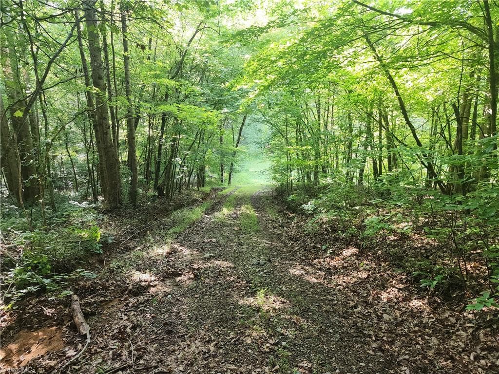 Unimproved Land at 0 River Bluff Farms Road, Tobaccoville NC 27050, Tobaccoville, photo 59 of 72