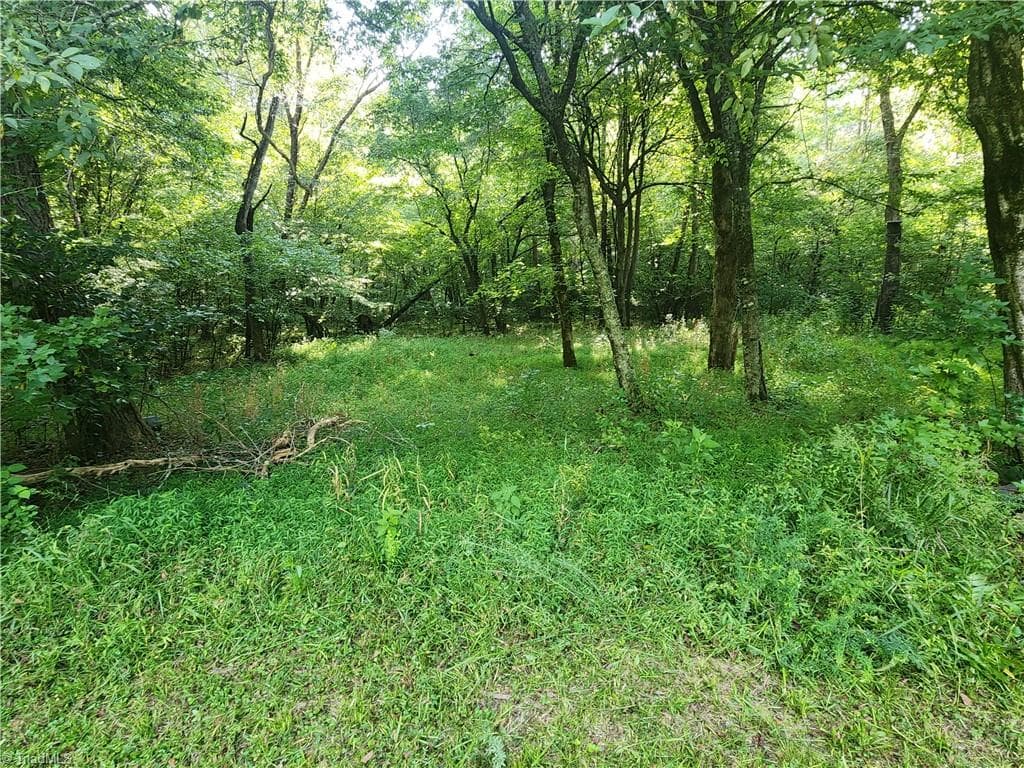 Unimproved Land at 0 River Bluff Farms Road, Tobaccoville NC 27050, Tobaccoville, photo 67 of 72