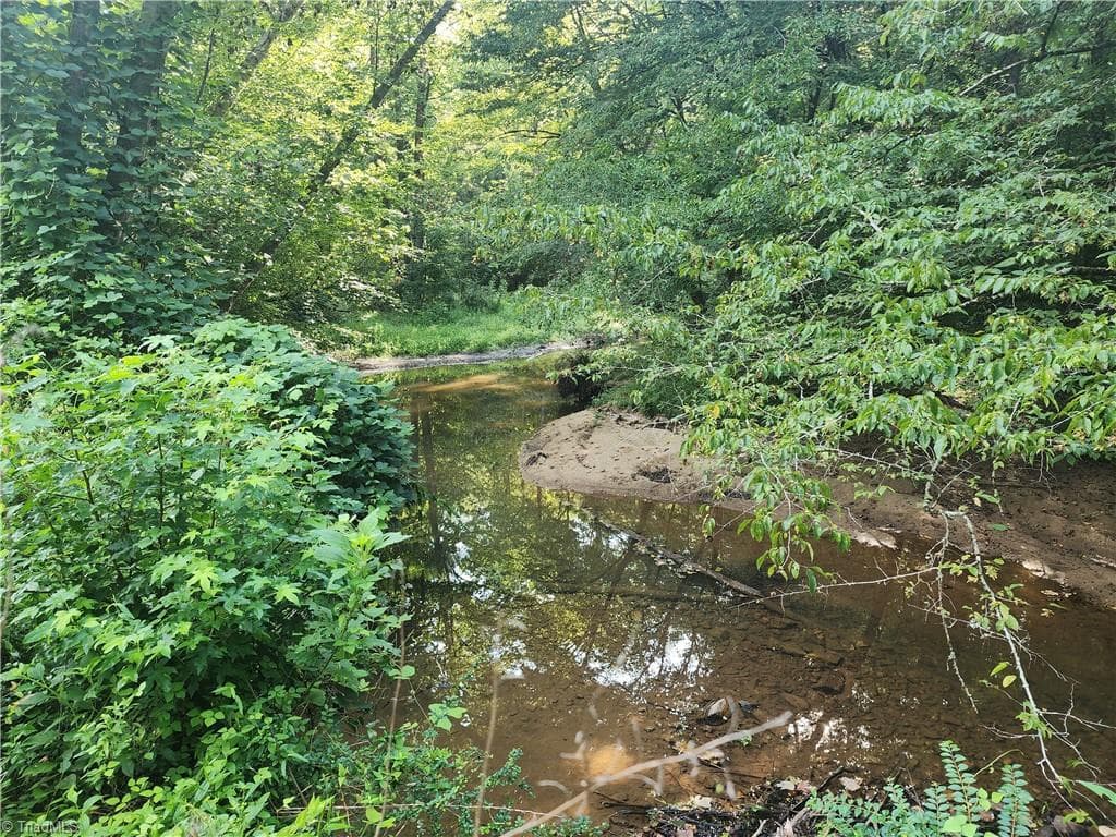 Unimproved Land at 0 River Bluff Farms Road, Tobaccoville NC 27050, Tobaccoville, photo 65 of 72