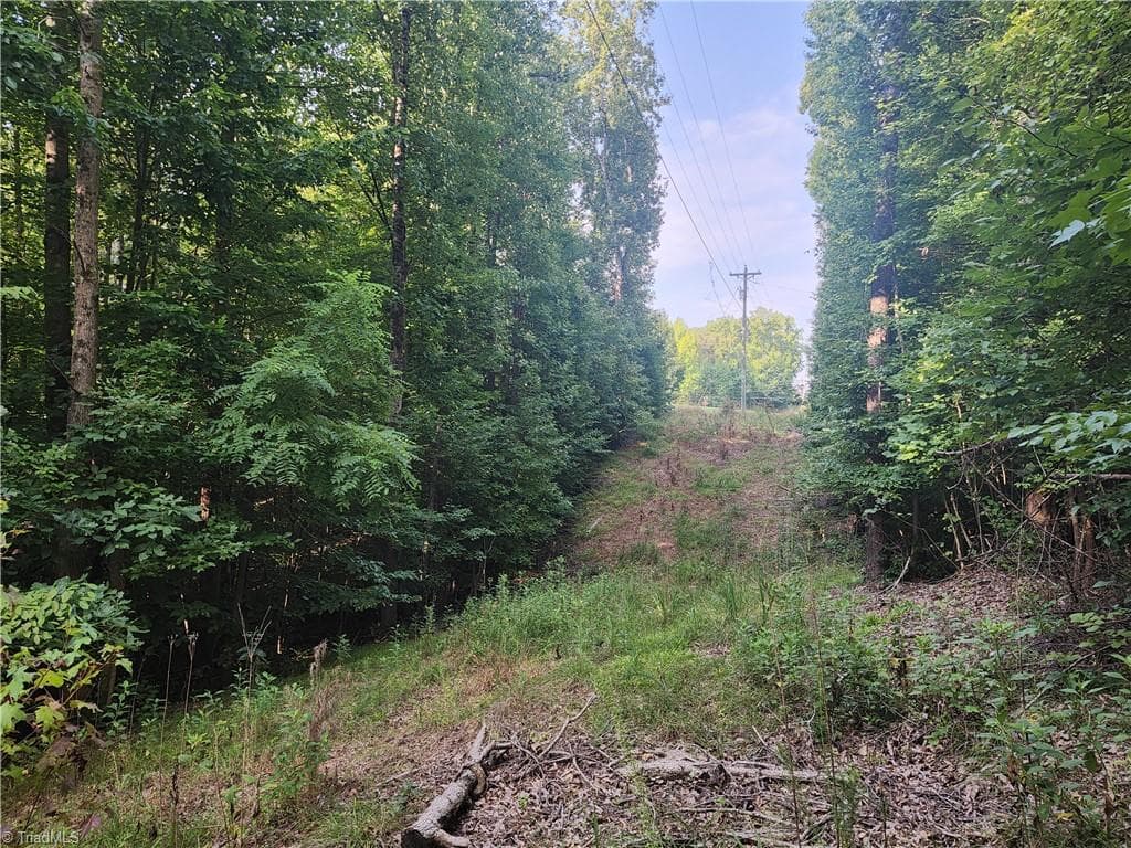 Unimproved Land at 0 River Bluff Farms Road, Tobaccoville NC 27050, Tobaccoville, photo 27 of 72