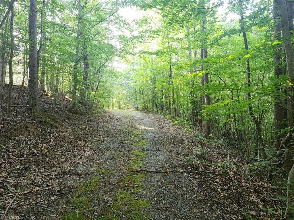 Unimproved Land at 0 River Bluff Farms Road, Tobaccoville NC 27050, Tobaccoville, photo 35 of 72