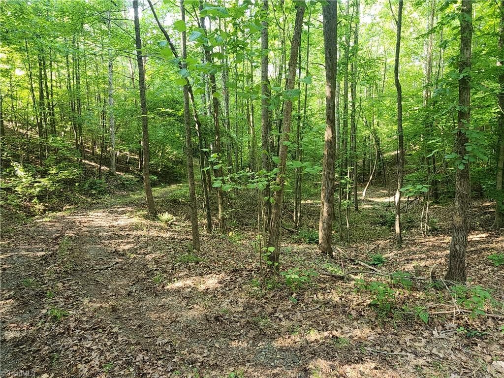 Unimproved Land at 0 River Bluff Farms Road, Tobaccoville NC 27050, Tobaccoville, photo 29 of 72