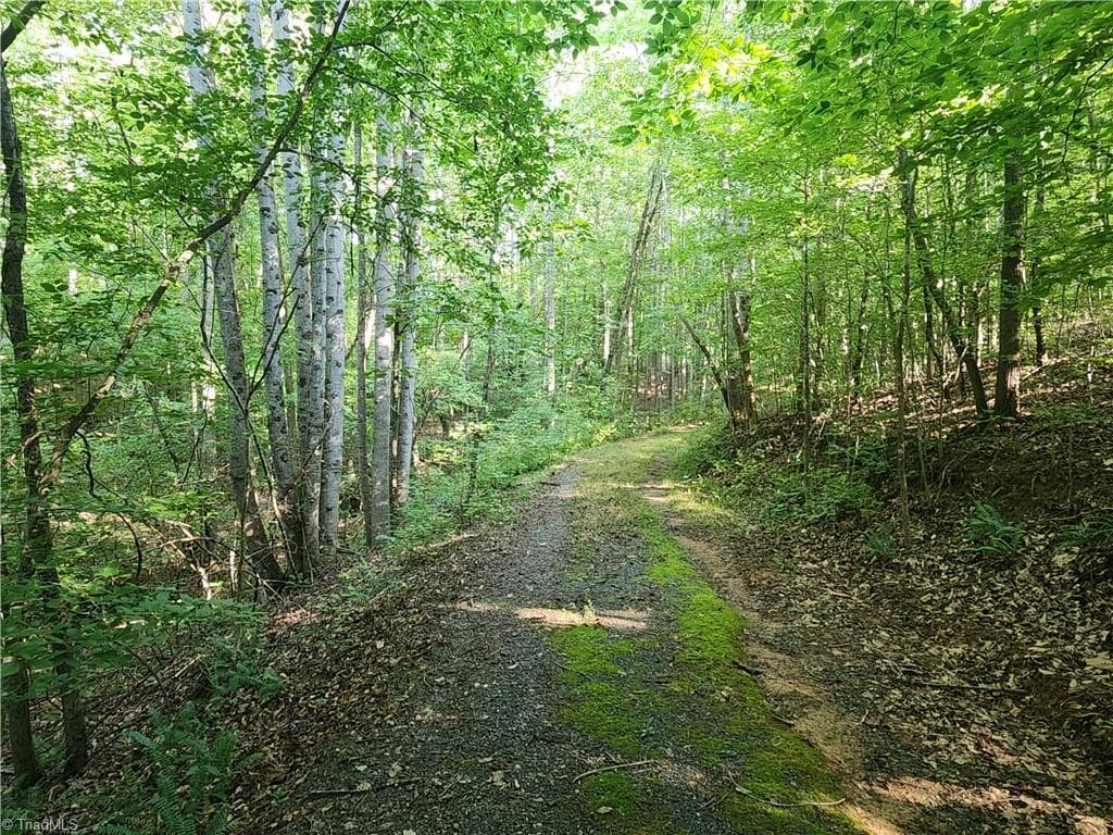 Unimproved Land at 0 River Bluff Farms Road, Tobaccoville NC 27050, Tobaccoville, photo 37 of 72