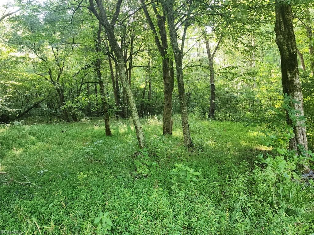 Unimproved Land at 0 River Bluff Farms Road, Tobaccoville NC 27050, Tobaccoville, photo 61 of 72