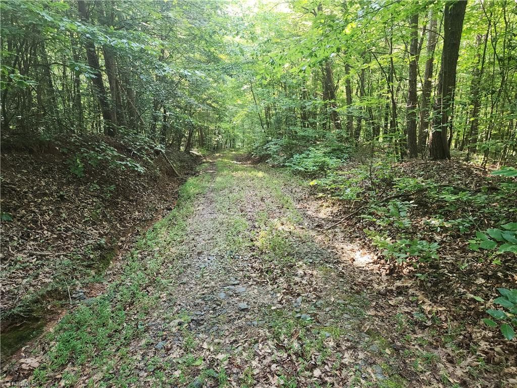 Unimproved Land at 0 River Bluff Farms Road, Tobaccoville NC 27050, Tobaccoville, photo 57 of 72