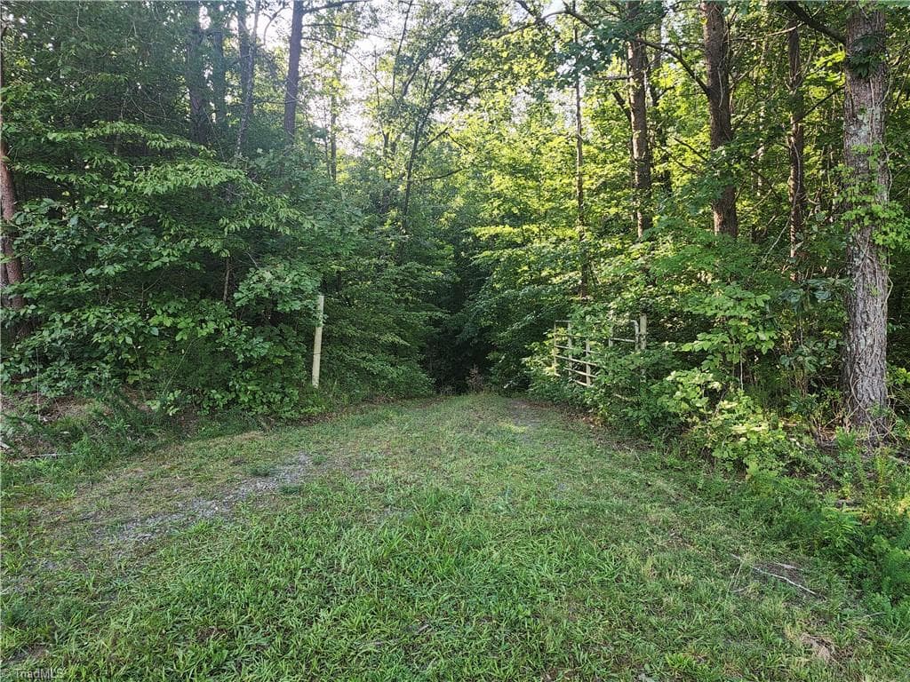 Unimproved Land at 0 River Bluff Farms Road, Tobaccoville NC 27050, Tobaccoville, photo 7 of 72