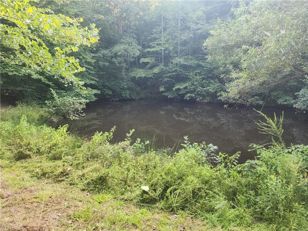Pond - 0 River Bluff Farms Road, Tobaccoville NC 27050, Tobaccoville