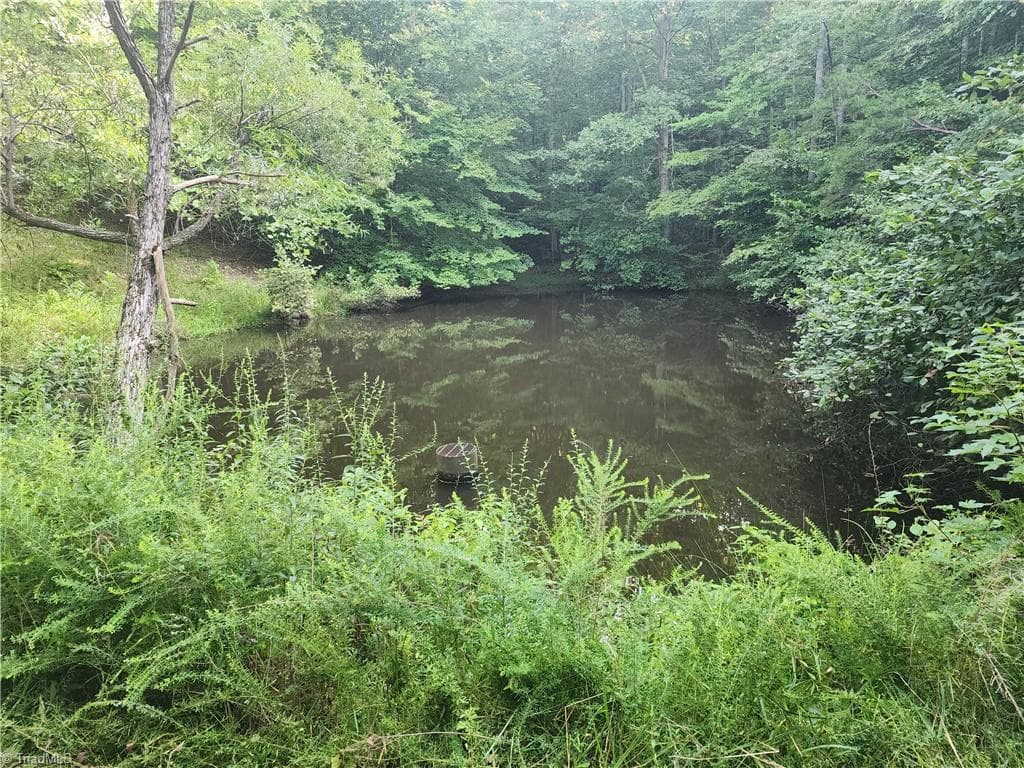 Unimproved Land at 0 River Bluff Farms Road, Tobaccoville NC 27050, Tobaccoville, photo 49 of 72