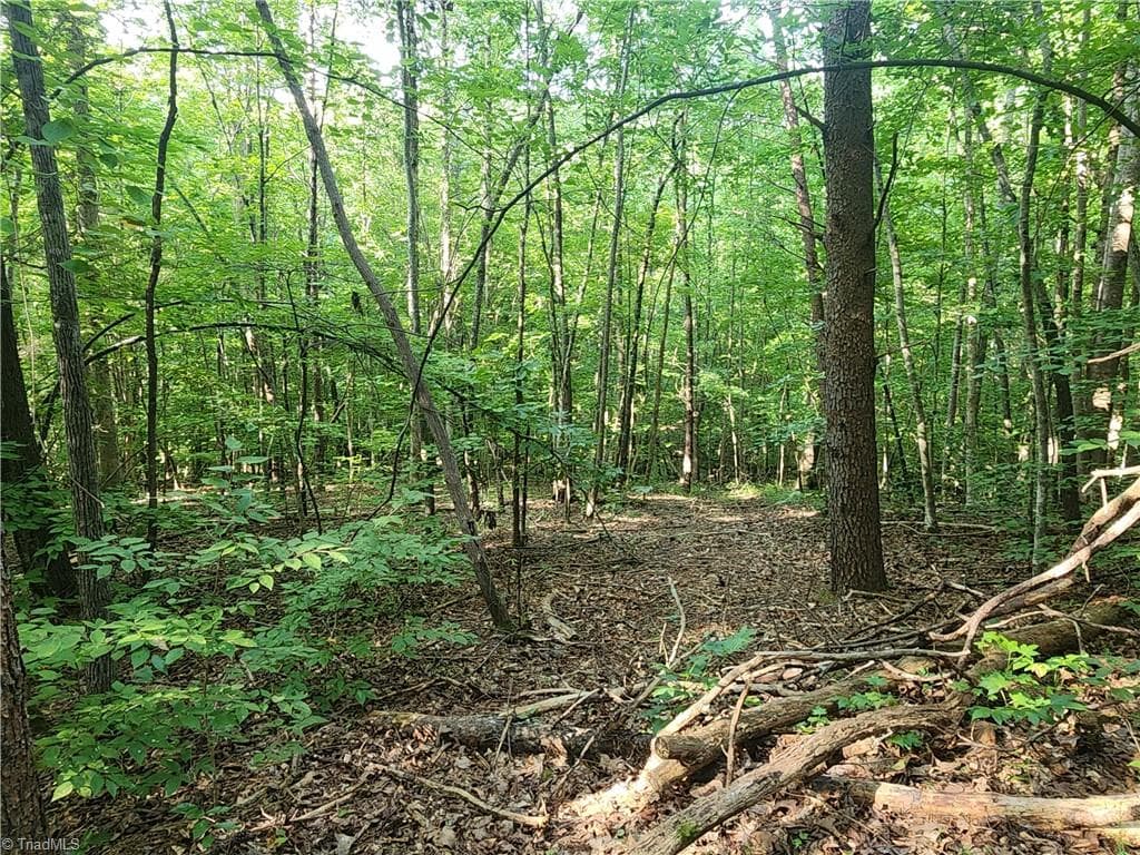 Unimproved Land at 0 River Bluff Farms Road, Tobaccoville NC 27050, Tobaccoville, photo 41 of 72