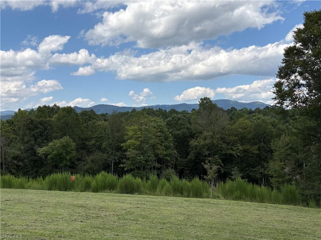 Stick/Site Built at 910 Hanks Street, Traphill NC 28685, photo 2 of 50
