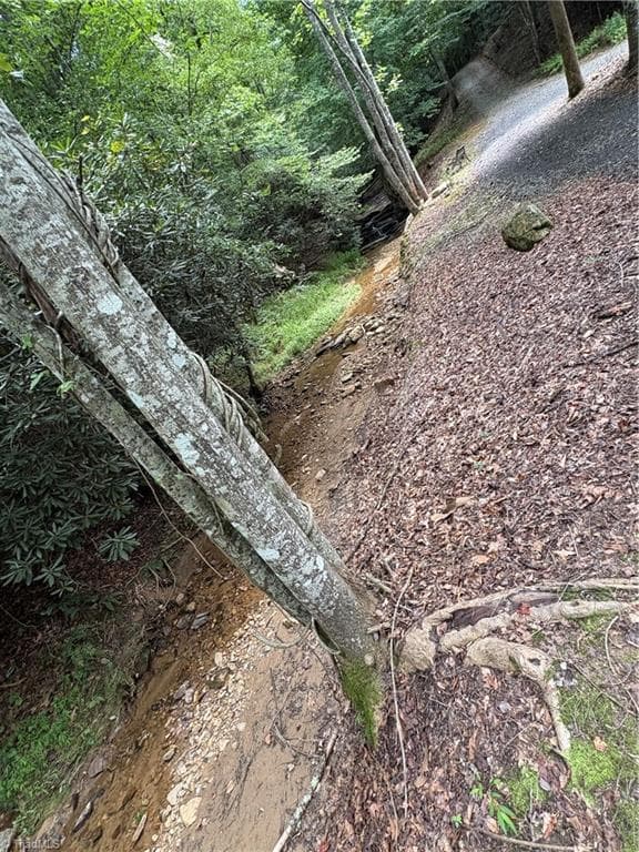 Stick/Site Built at 910 Hanks Street, Traphill NC 28685, photo 29 of 50